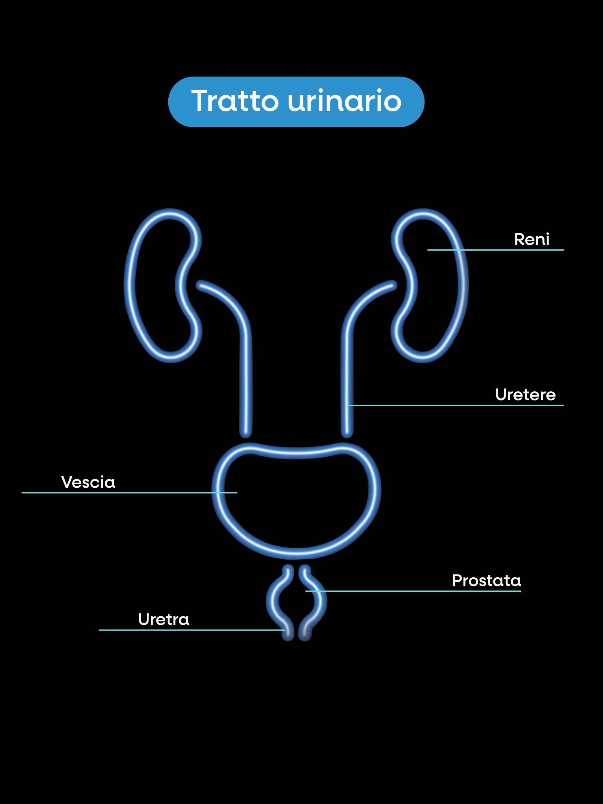 (Italština) - 2025-09-08T081955.513
